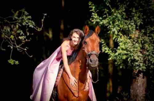 Photographie Animalière